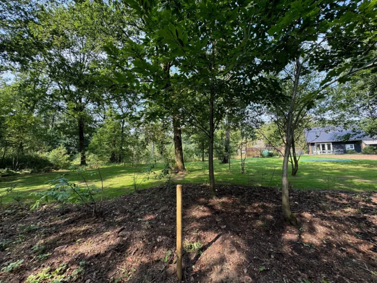 rotate=0,fit=contain,width=2880-30