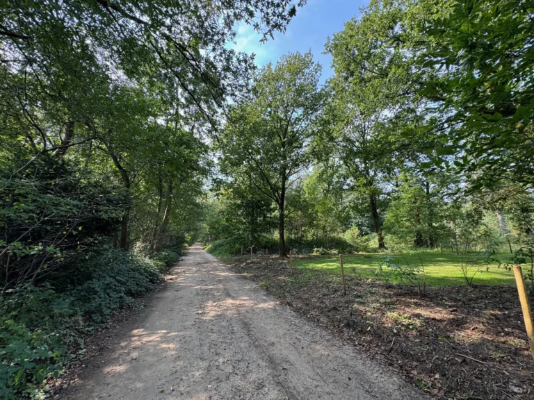 rotate=0,fit=contain,width=2880-31