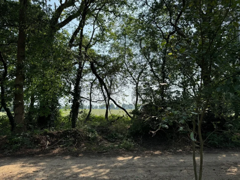 rotate=0,fit=contain,width=2880-32